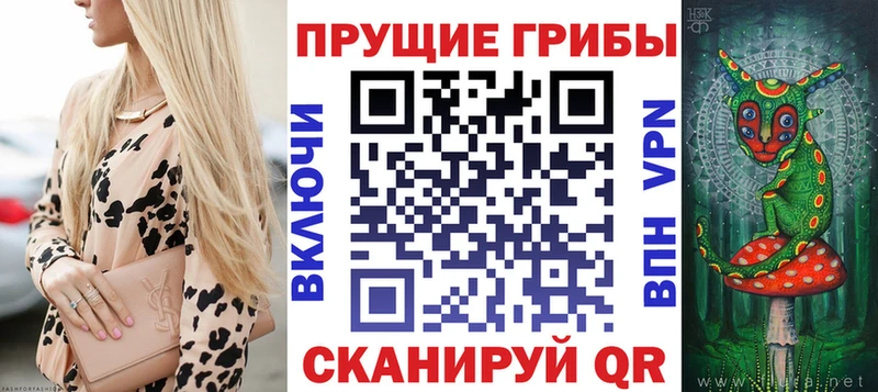 Галлюциногенные грибы Psilocybe Унеча